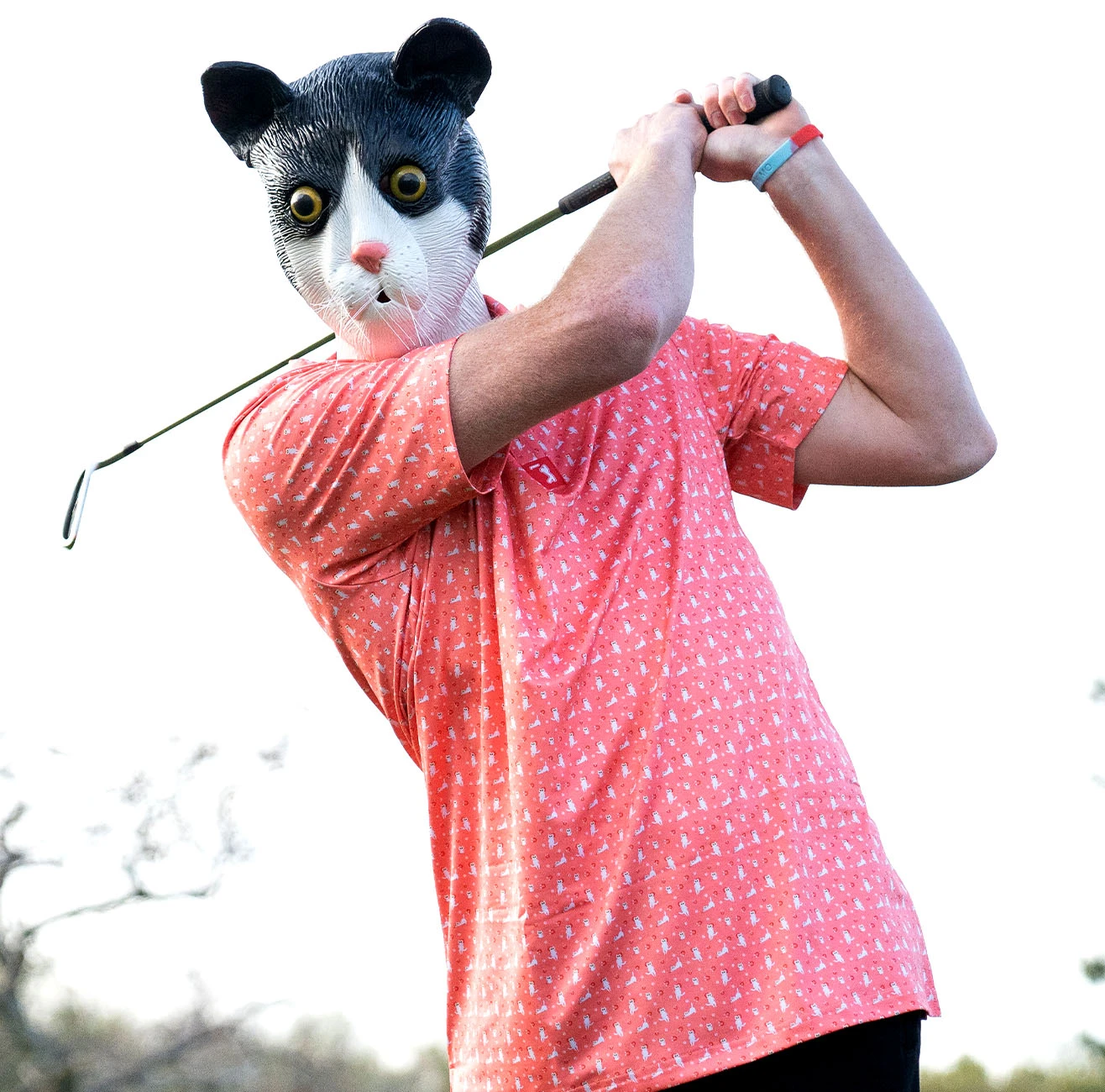 "Kitty" Magnet - Polo 4 "Kitty" Magnet - Polo - Image 2